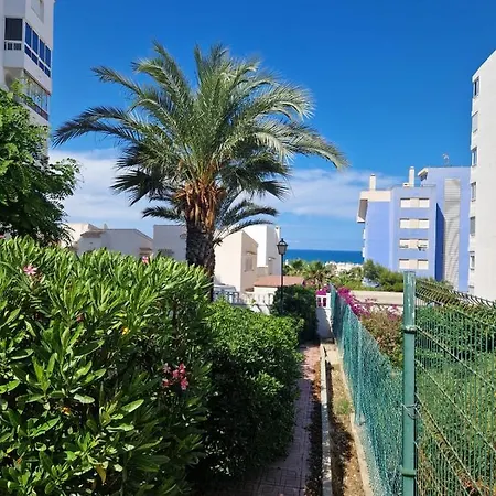 Apartment Lux